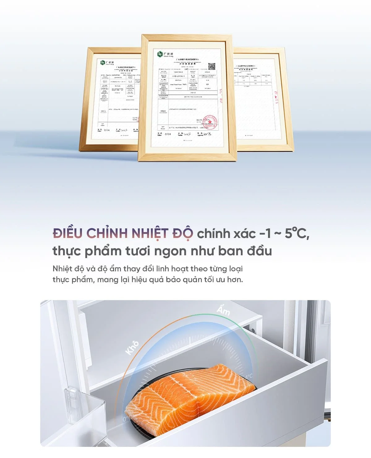 Bố trí ngăn t? l?nh 400L