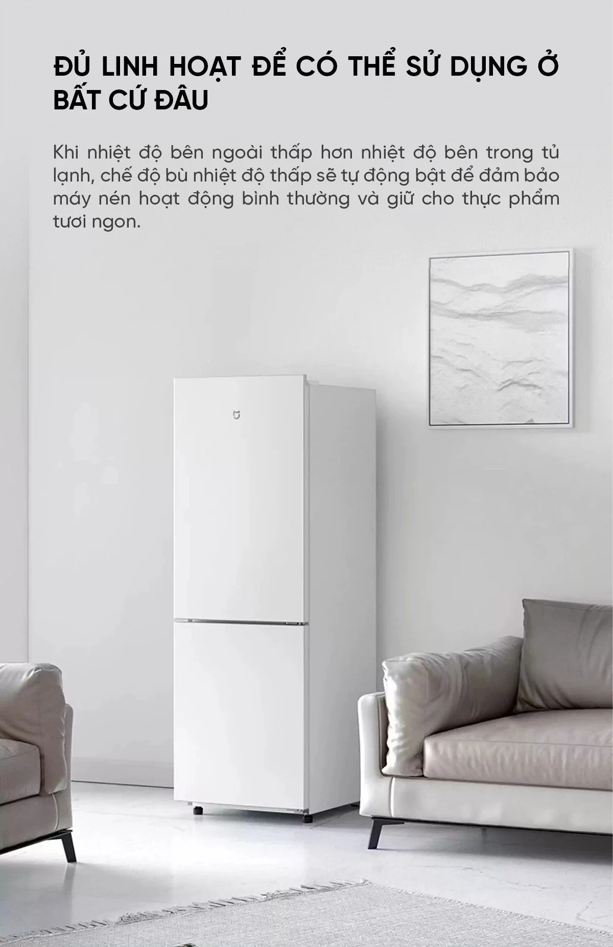 Không gian bên trong tủ lạnh Xiaomi 175L